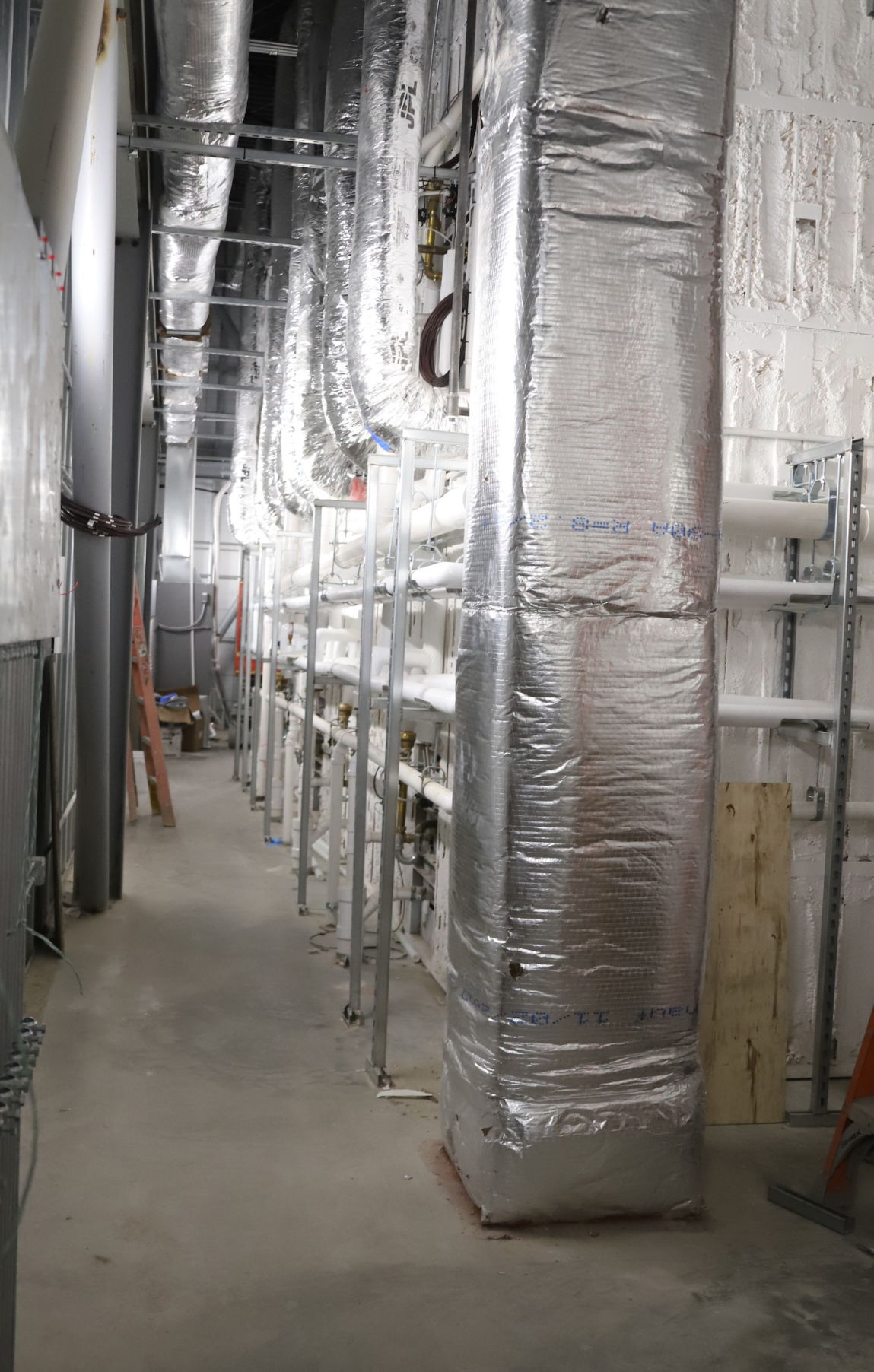 Behind the cells